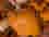 indiscernable pumpkin